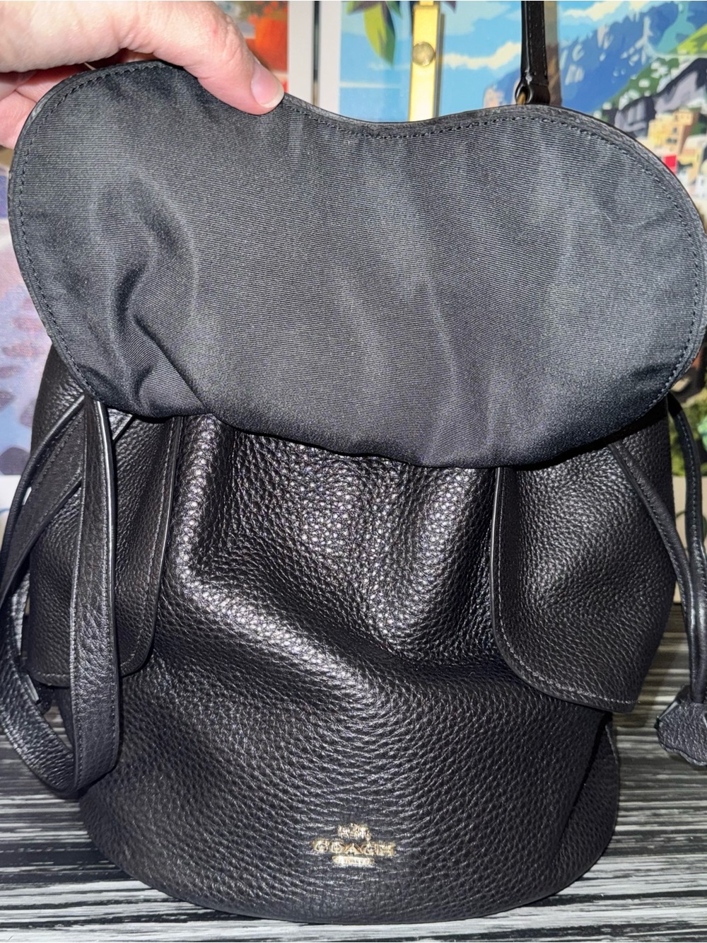 COACH Petal Tea Rose 22 Bucket Bag Black Pebble Leather - Like New 2017 (F11807) - Picture 13 of 15
